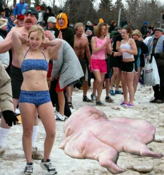 Polar Plunge Nude Lmages.