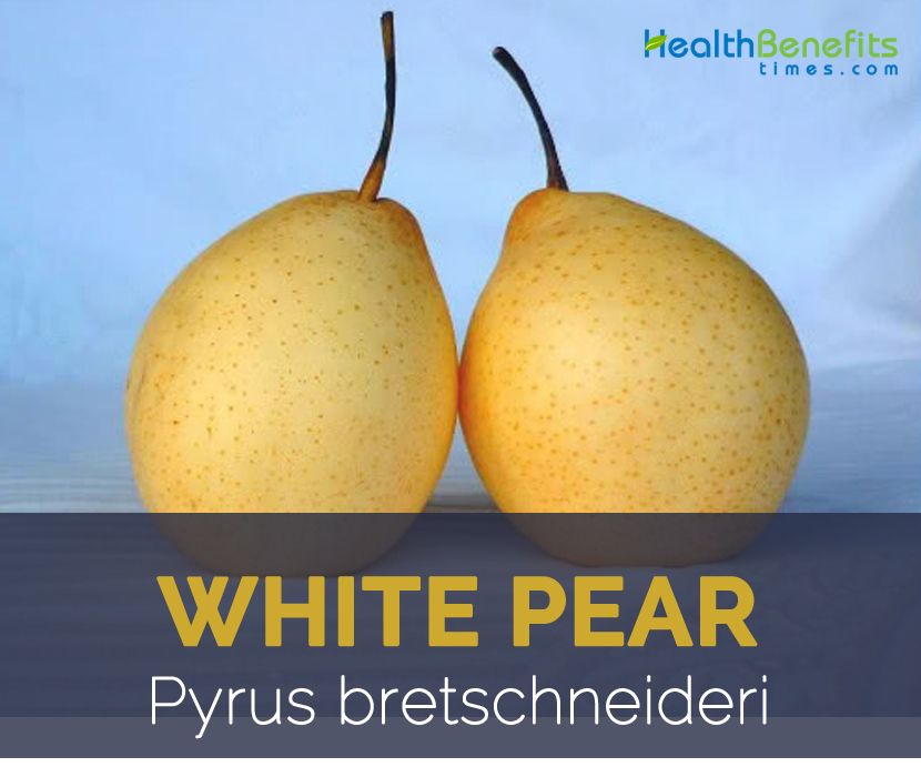 Doctor /. D. reccomend Asian pear health benefits