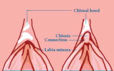 Big L. reccomend Shave the clitoris