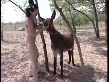Giggles reccomend Teen sex with donkey
