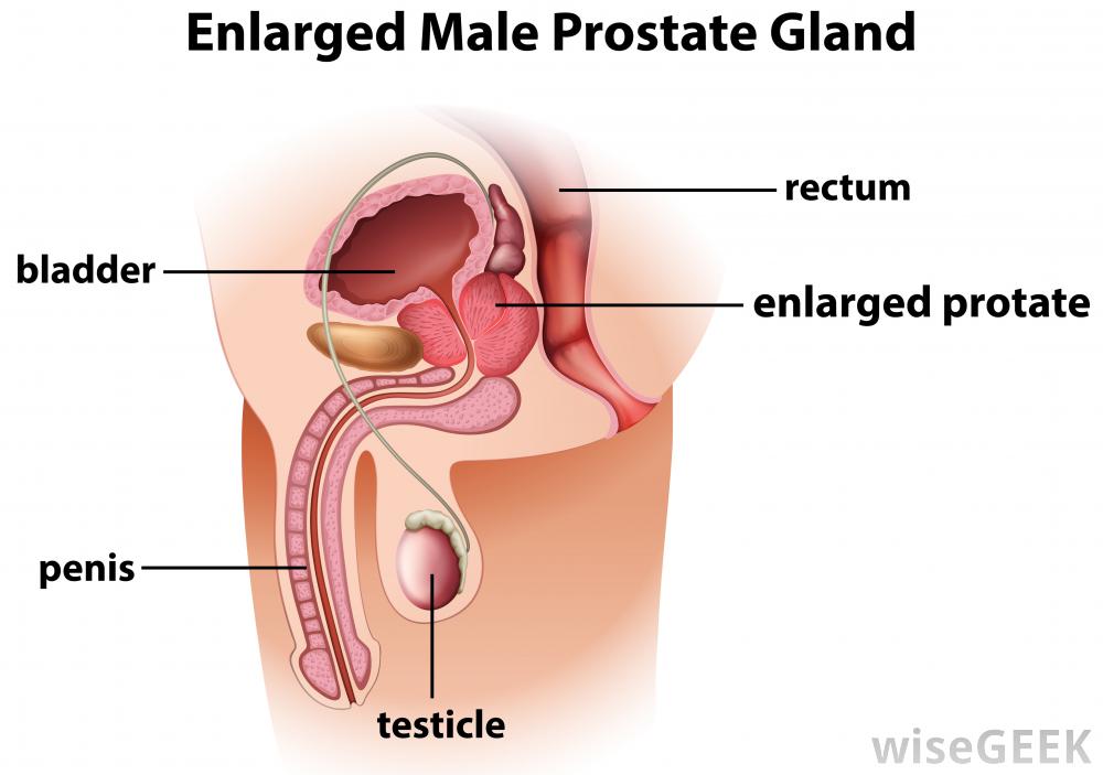 Orgasm through prostate