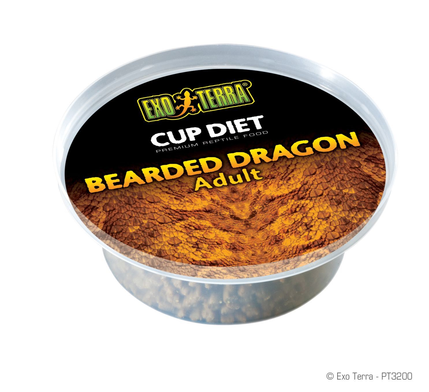 best of Food dragon Adult bearded