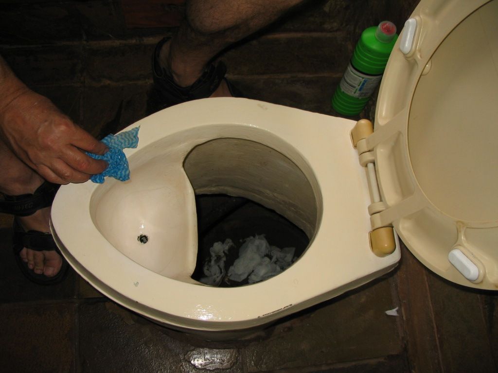 Mouse reccomend Pee piss potty toilet