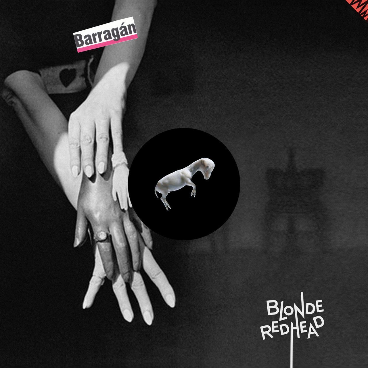 Hog reccomend Blonde redhead the secret society of butterflies