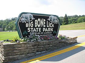 The big lick festival park camping