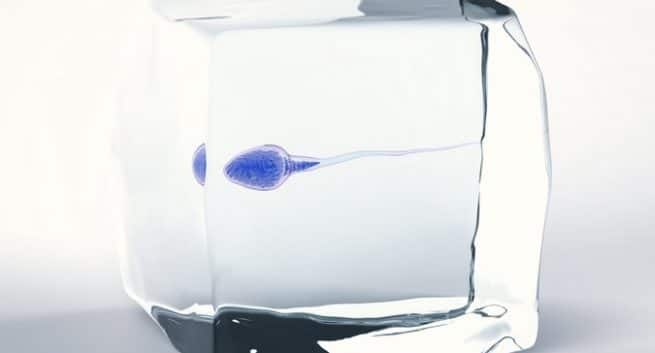 Koi reccomend Can sperm survive in bath water