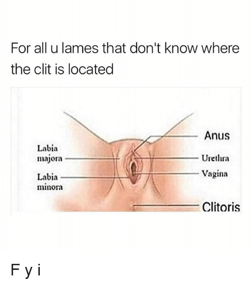 S clit ris clitoris gratis