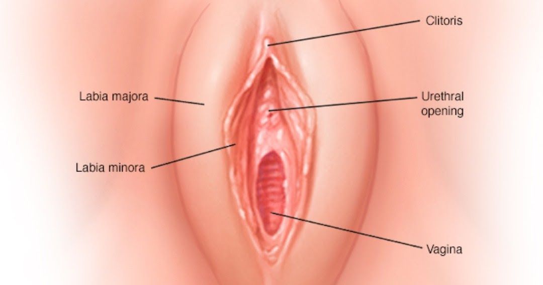 best of Vagina Distance clitoris