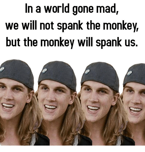 best of Will Monkey the spank monkey