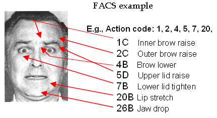 Facial action coding system software