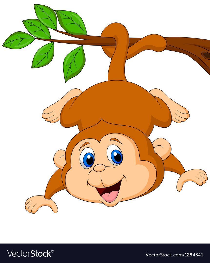 Swinging cartoon monkey from a tree  pic