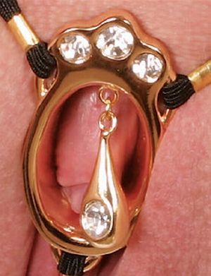 Zodiac reccomend Insertable clit jewelry