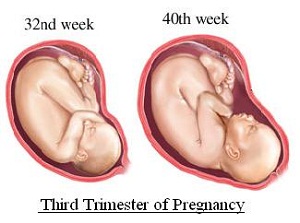 Fetal movement in the vagina
