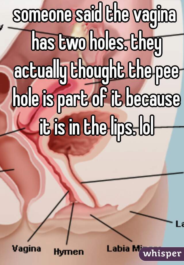 Bullwinkle reccomend Do vaginas have two holes