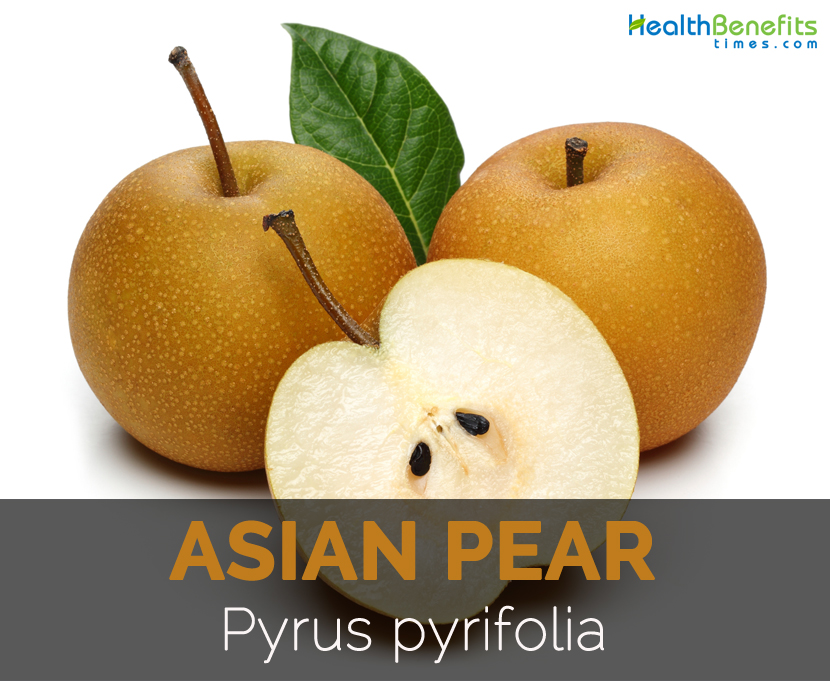 Asian pear health benefits
