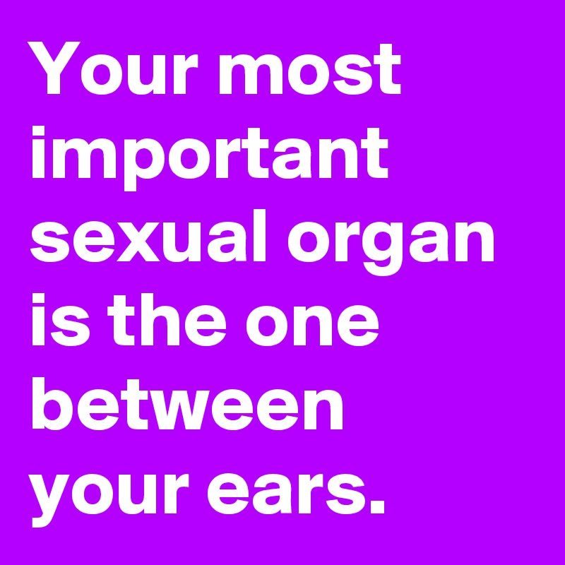 The T. reccomend Most impotent sex organ