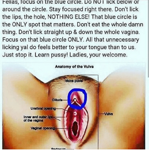 The best way to lick vagina